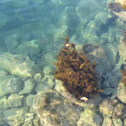 Mediterranean Sea#7