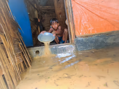 Item #28483083615204022371300351477704581571274768988091129970329682076870325043201 Media