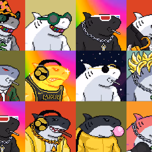 Sharkboyfightclub