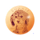 92217798344826740696089853062763618126506953314372073767789824309393061052417