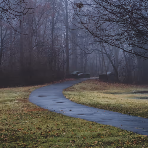 Echoes Of Solitude