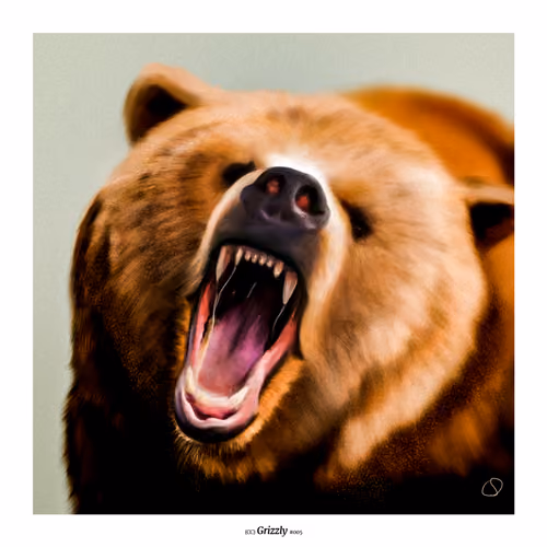 (CC) #005 / Grizzly