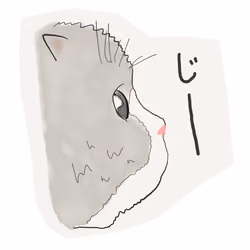 zi  CAT