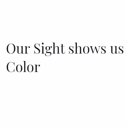 Item #73944425680841378423707497973743319694809260800565833909088422994501544443905 Media
