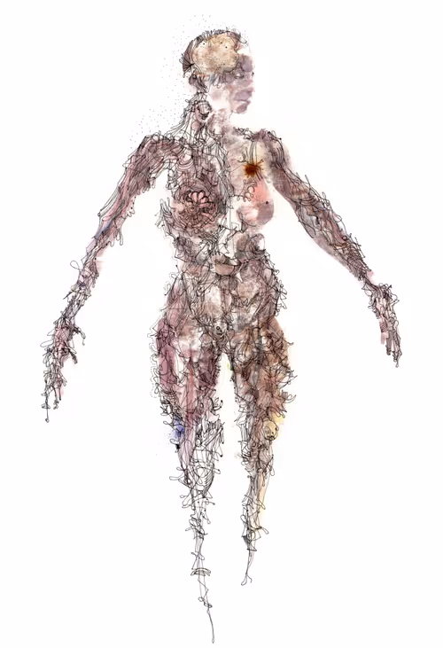 Item #102754690271141517460020261260231775024151531464928223000986145634176439681025 Media