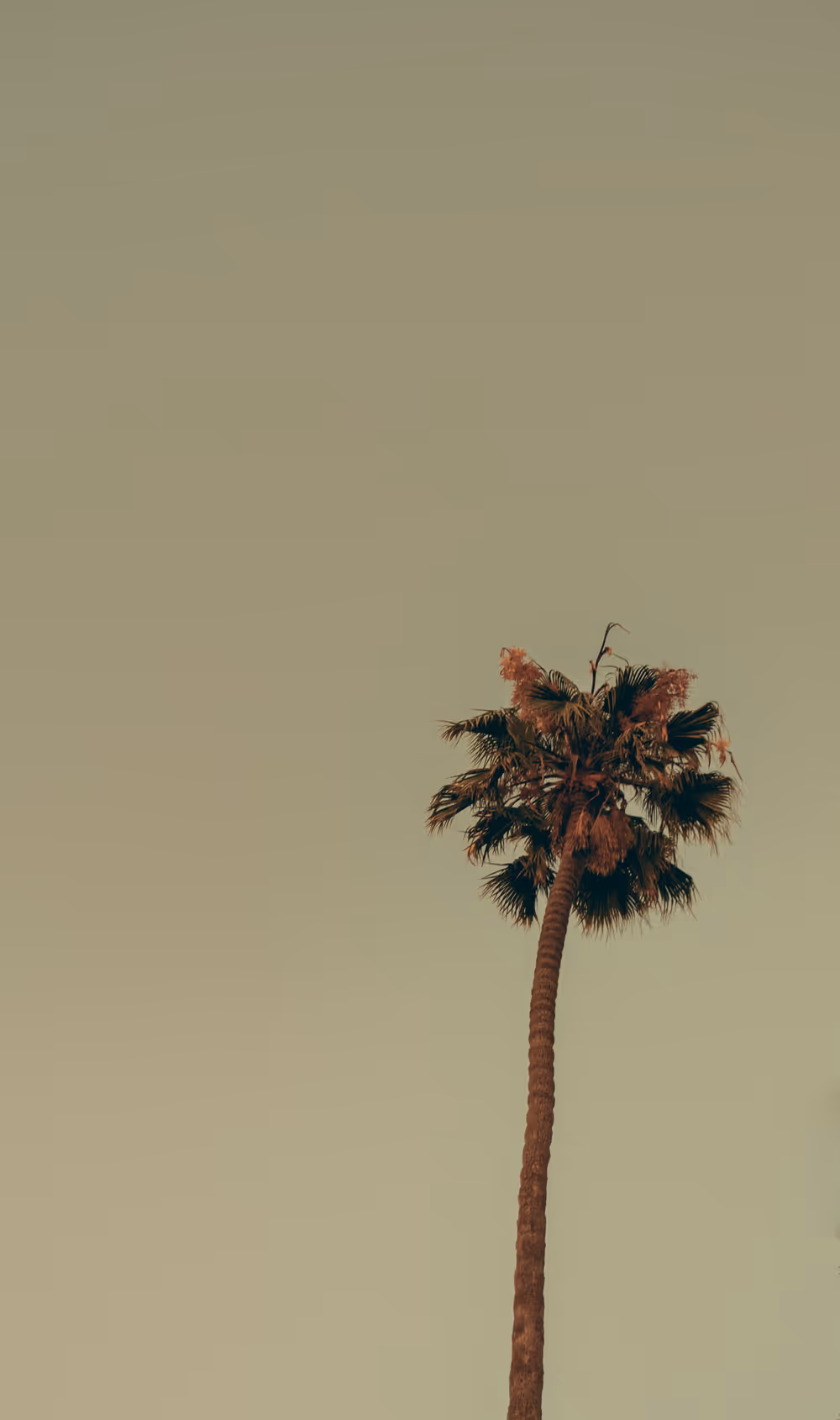 Somewhere Else: 083 - Only Child