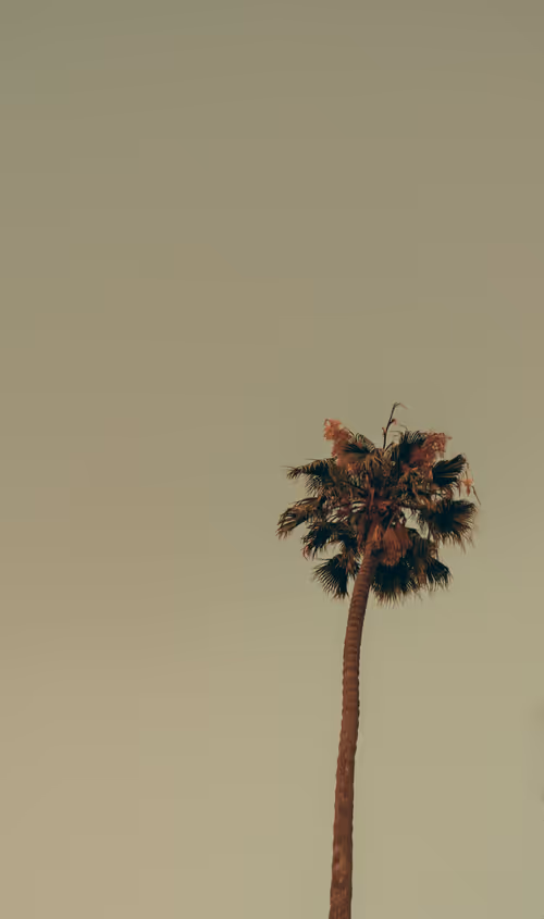 Somewhere Else: 083 - Only Child