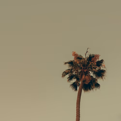 Somewhere Else: 083 - Only Child