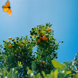 Butterfly Effect