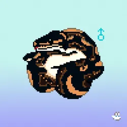 89685544351134784796111577688974543226895989964253757234668744355973246746625