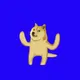 80522635296246642157724913251784658372757645524981424851543132735484135997441