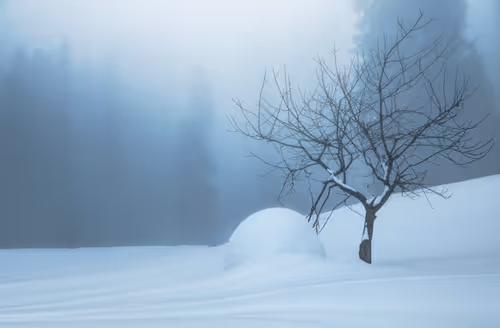 Item #100125324817140700473098673733568876555088890877521994710768706062807166091265 Media