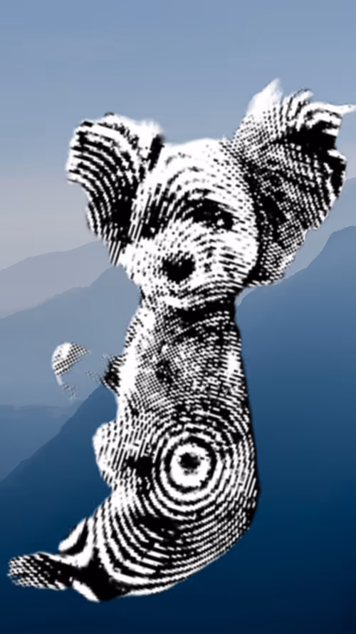 Item #50435629414903080732398685353811858649064922584428316907703266712448122486785 Media