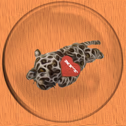 41776025324002017952572422073316458441069080831023694546850786349242803814401