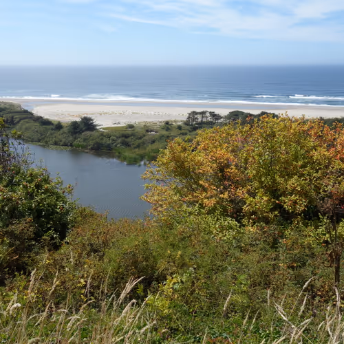 81311623154221304056404739507170303613428233805736578014873159294986506731521