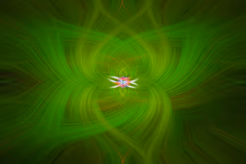 Item #33806556116645353974422995666267801011499992445511295382812024816930872360961 Media