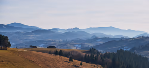 Item #105475816949175725597838668609224528502922702307421382918206128516607567200257 Media