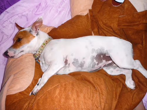 Item #5985210497355107417265215381210579199842884272282595265964883391319237459969 Media