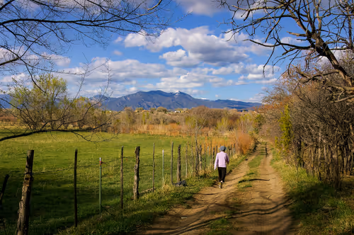 Item #69779279793312991240489662721218422936190169407892673104950858323976892973057 Media