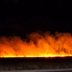 Wild Fire