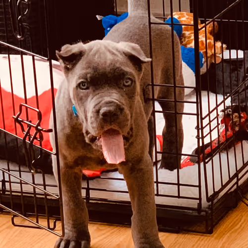 Untitled Collection #97235559 - old