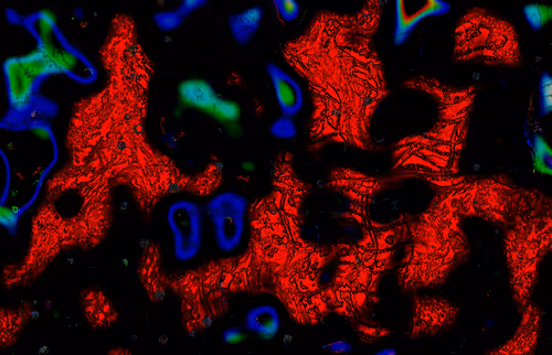 Item #54729893336574635721749314485117263877312010495368336354244301804259705356289 Media