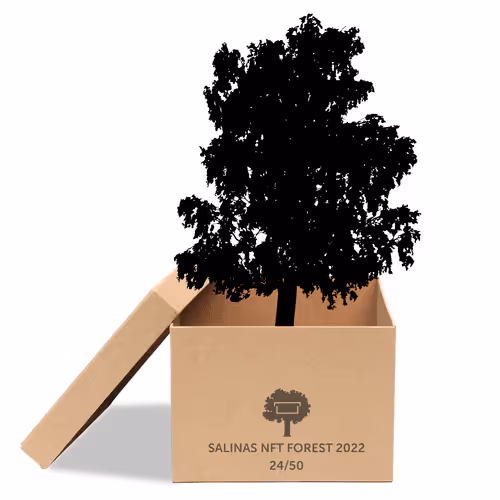 Item #63532776318757439562276927313719991273687356279339277108967620990417512693761 Media