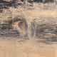 6049598337631841724130910391698529407950588402400538952572283636078618869761