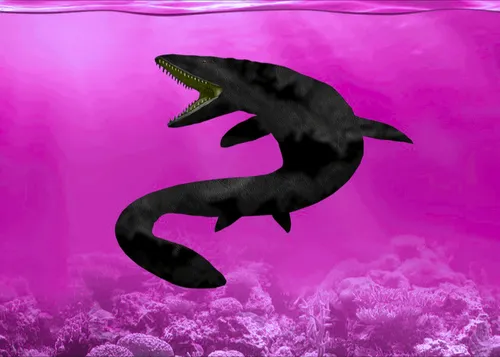 Item #22412305358539205371482020658884093096557011368869543087165207539641982386177 Media