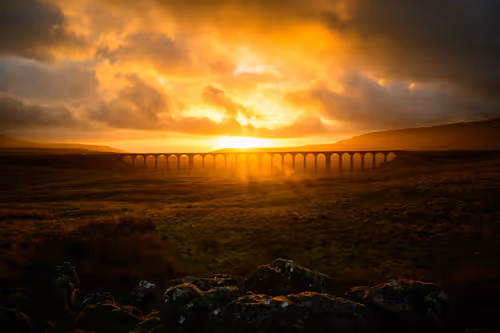 Item #96661707284894299444635219906598425654694917167299737376541026830794071474198 Media