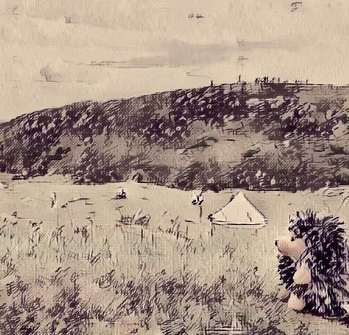 Porcupine Canonical Tent