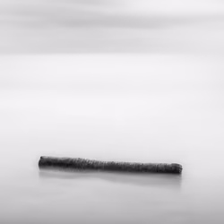 Quiet log.