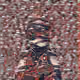 69993470992601587508086846345977819187826958357149512921466343583292267167745