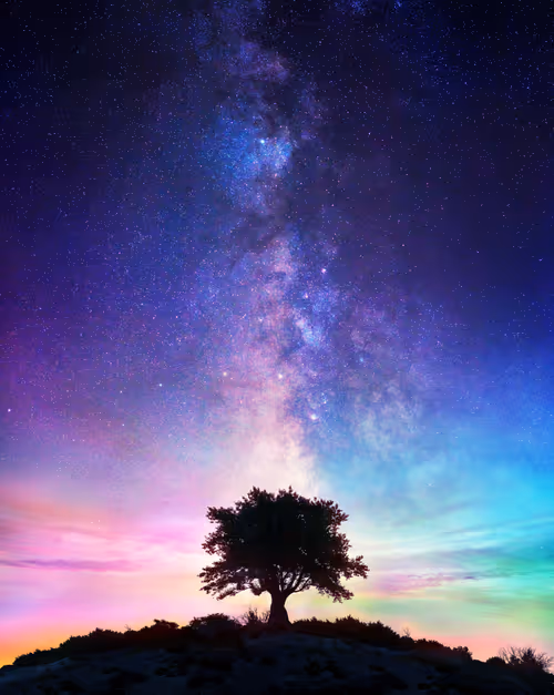 Item #65345487953311582179904319908136273825398030986349115812322284717278488428545 Media