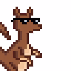 Roo #004