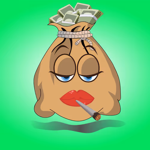 Money Bag #48