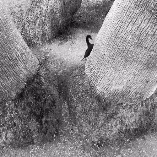 Item #56431751608181922231259635946092067407977788553703326303680802306352687874049 Media