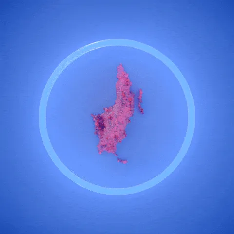 Item #92877229357164046472028175889131918179999340354375960899241609971163153301505 Media