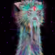 88373442941385489737148588759264906907806479317547397552145253084798394564611
