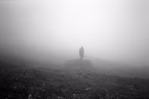 Item #86204936525623062478772312076709802278598486618652010465124009084508144926721 Media