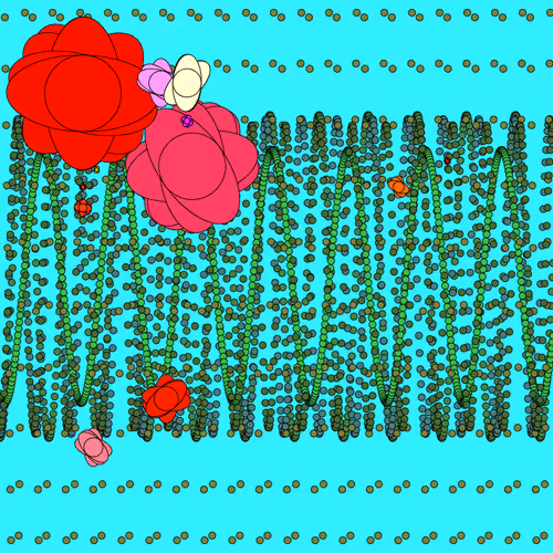 Level2generativeart