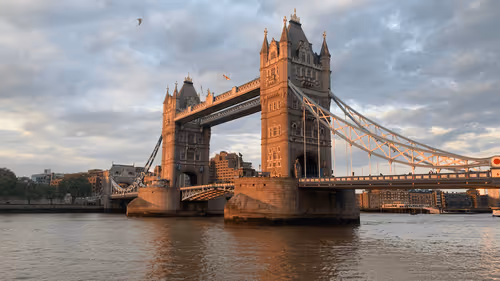 Scen_icshots Collection