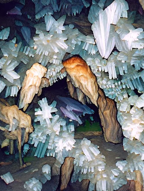 Item #83775243434754572801779238830324367876031517126168399019794835242185345990657 Media