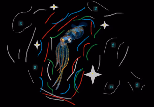 Item #75888628965057623321102418136474841418759772256013984855196176764389935808513 Media