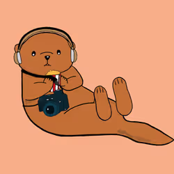 90928748387075443507154162985813756138044416890829082269888865346631011139585