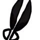 86551122605171227884725911125719490282910141831025918475536647988225872232449