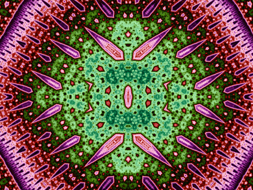 Item #41897656144008175576911762965025711901993500067716723940065295060506834370561 Media