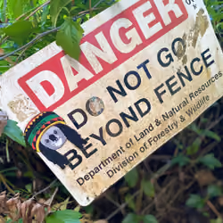 Wildlife Danger sign in Hawaii