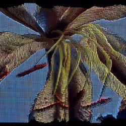 Fabricating Blooms 027