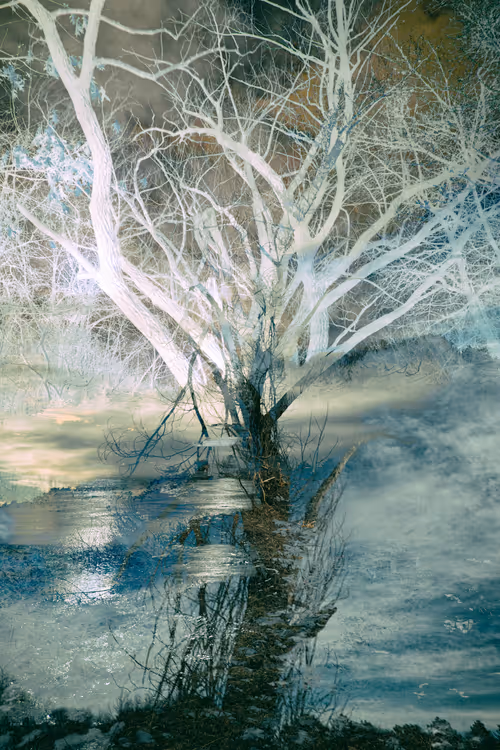 Item #43070642994582151386358674044565282189823590149162061953262107339872071057409 Media